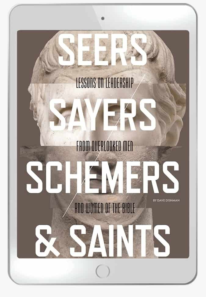 SEERS, SAYERS, SCHEMERS & SAINTS (Ebook)