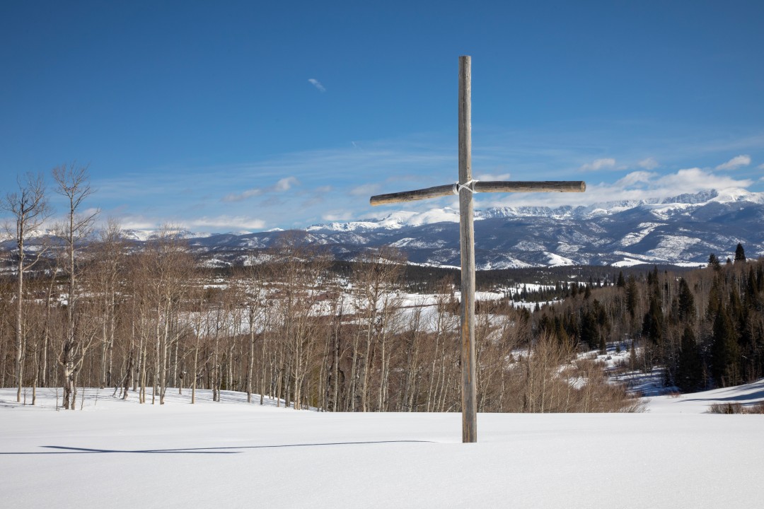 Photos by Guy Gerrard