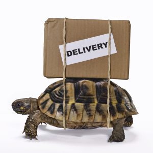 Delivery box on turtle
