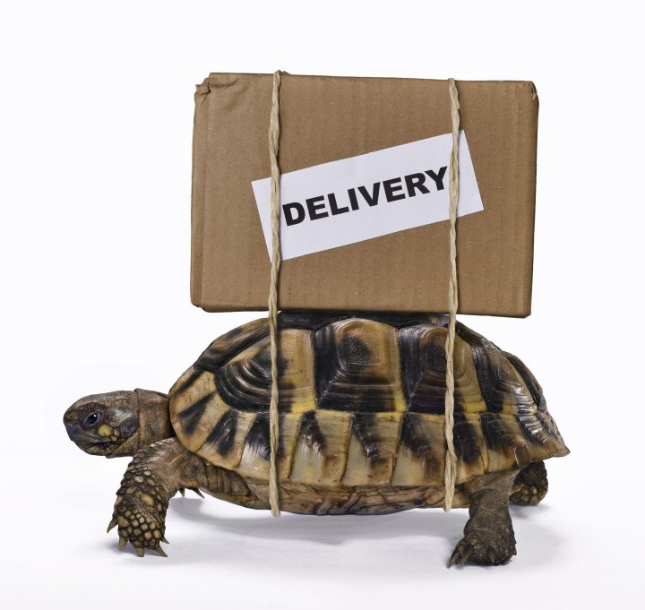 Delivery box on turtle