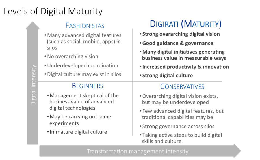 Digital Maturity – Digital Academy